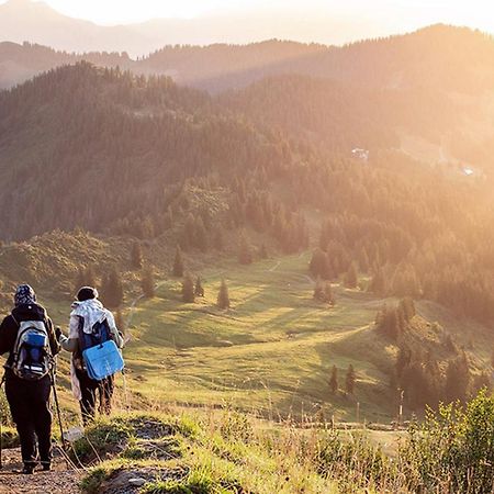 Das Grasberghaus Ngoại thất bức ảnh